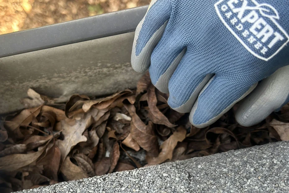 Hunters Creek Village Gutter Cleaning
